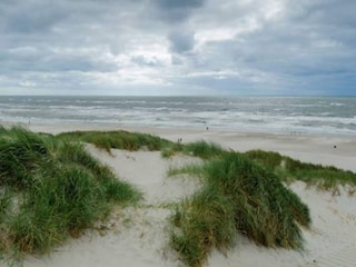 Ferienhaus Henne Strand  56