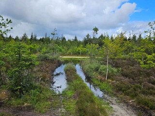 Vakantiehuis Henne Strand  39