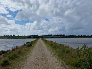 Ferienhaus Henne Strand  42