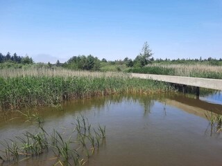 Vakantiehuis Henne Strand  22