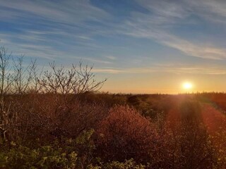 Casa per le vacanze Henne Strand  60