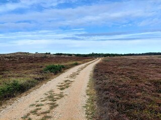 Casa per le vacanze Henne Strand  62