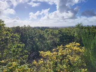 Holiday house Henne Strand  72