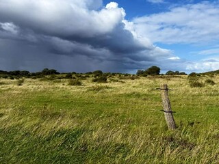 Maison de vacances Bagenkop  4