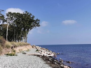 Casa per le vacanze Bagenkop  36