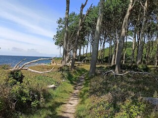 Casa per le vacanze Bagenkop  41