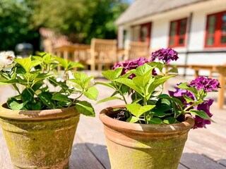 Vakantiehuis Bagenkop  17