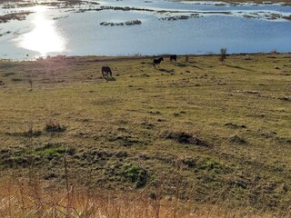 Maison de vacances Bagenkop  45