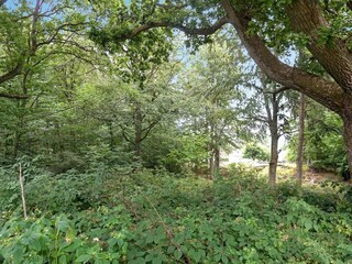 Vakantiehuis Karlskrona  13