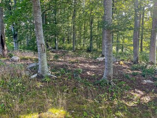 Vakantiehuis Nybro  25