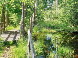 Vakantiehuis Traryd  31