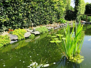 Apartamento Bütgenbach Grabación al aire libre 6