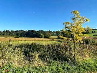 Apartment Bütgenbach Umgebung 25