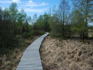 Apartment Bütgenbach Environment 27