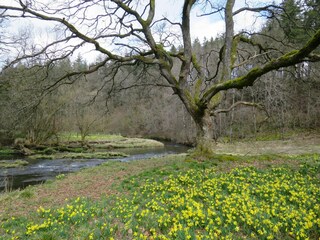 Apartamento Bütgenbach Entorno 29
