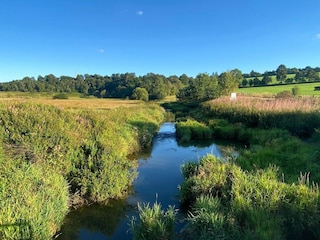 Apartment Bütgenbach Environment 30