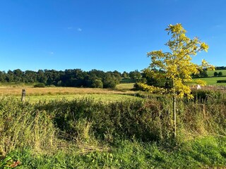 Appartamento Bütgenbach Ambiente 25