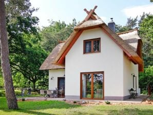 Holiday house Ferienhaus Kranichnest in Zirchow - Neverow - image1