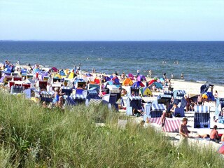 Casa de vacaciones Neverow Entorno 20