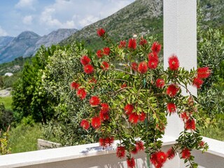 Apartamento Cavtat  30
