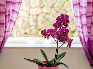 Apartment Cavtat  48