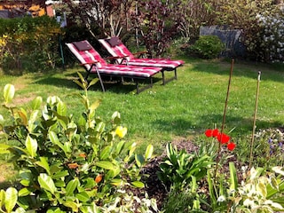 Appartement de vacances Kappeln (Stadt) Enregistrement extérieur 3