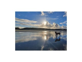 Appartamento per vacanze Buren Ambiente 14