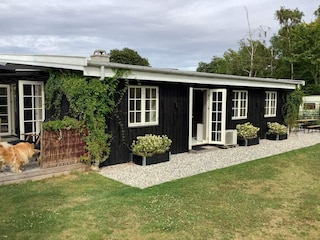 Ferienhaus Gilleleje Außenaufnahme 4