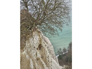 Abstecher zum Königsstuhl auf Rügen