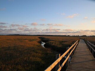 Spaziergang durch dieSalzwiesen