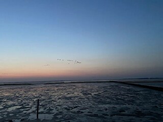 Apartamento Dornumersiel Entorno 36