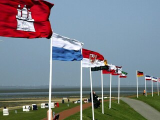 Ferienhaus Friedrichskoog Umgebung 49