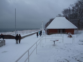 Winter 2009