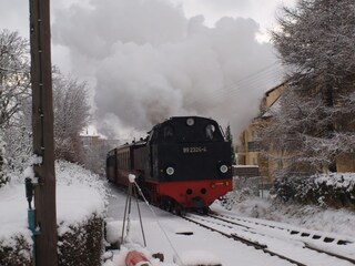Die Molli im Winter