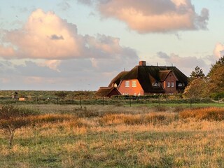 Natur pur & direkt am Wasser
