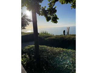 Unvergesslicher Blick