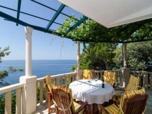 Apartments Plavac Mali- Three Bedroom Apartment with Terrace and Sea View - Potomje - image1