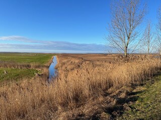 Bodden