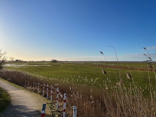 Landschaft