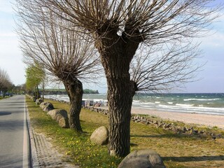 The western Dünenweg leads along the Baltic Sea