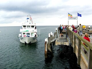 You can take boat trips from the pier