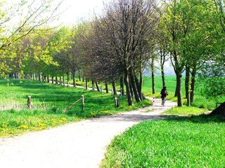 Cycle to the "Urwald" of Boltenhagen