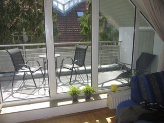 Holiday apartment Boltenhagen Environment 4