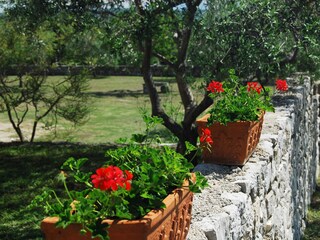 Apartamento de vacaciones Nerezine Grabación al aire libre 5