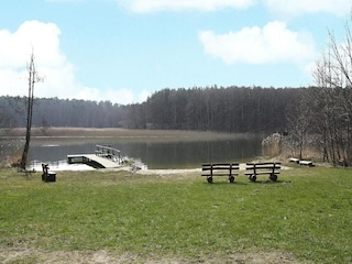 Vakantiehuis Luhme Omgeving 17