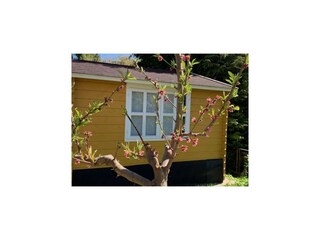 Vakantiehuis Luhme Buitenaudio-opname 3