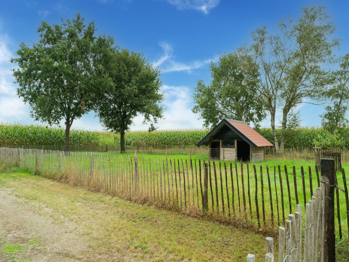 Bauernhof Venhorst Umgebung 37