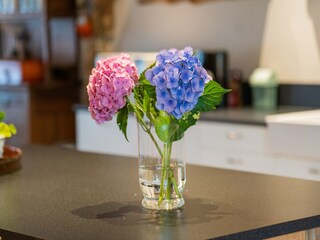 Boerderij Venhorst  39