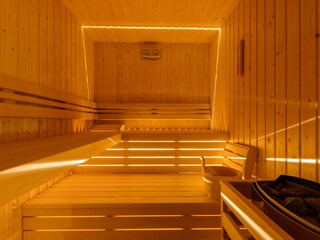 Villa Svetvinčenat Caratteristiche 39