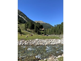 Appartamento per vacanze Hochkrimml Ambiente 20